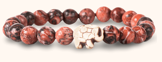 Elephant Desert Stone Expedition