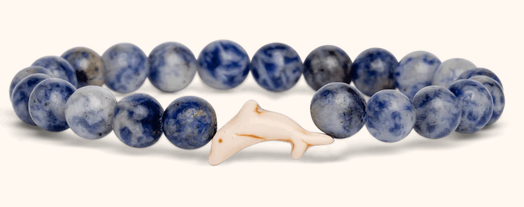 Doplhin Coastal Blue Odyssey