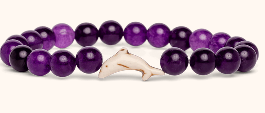 Dolphi Echo Purple Odyssey