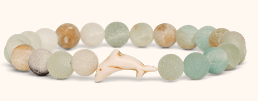 Doplhin Sky Stone Odyssey
