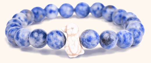 Penguin Igloo Blue Passage